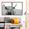 Solitary Highland Cow Wall Art