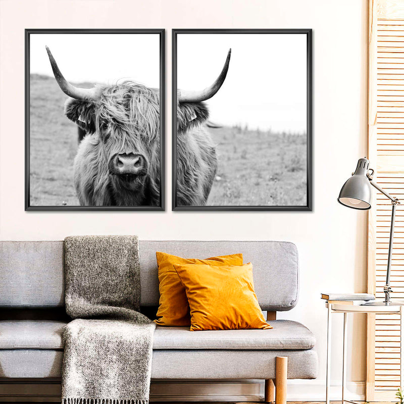 Solitary Highland Cow Wall Art