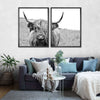 Solitary Highland Cow Wall Art