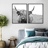 Solitary Highland Cow Wall Art
