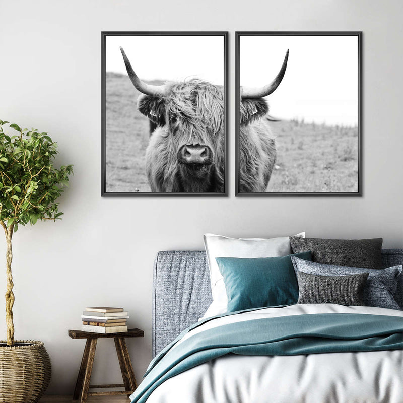 Solitary Highland Cow Wall Art