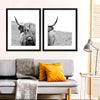 Solitary Highland Cow Wall Art