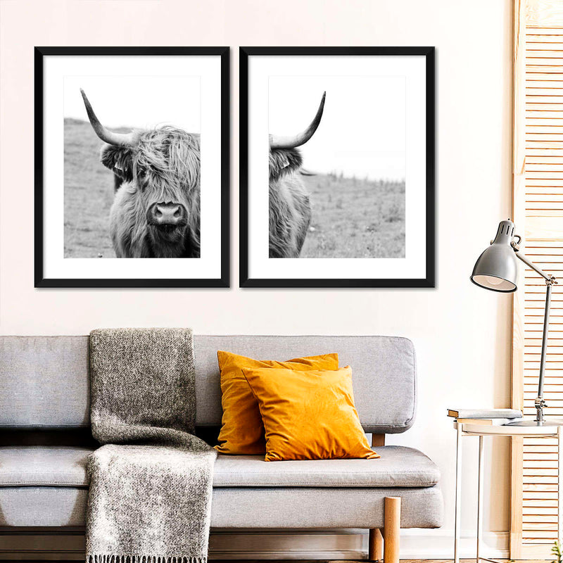 Solitary Highland Cow Wall Art