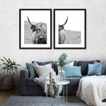 Solitary Highland Cow Wall Art