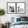 Solitary Highland Cow Wall Art