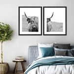 Solitary Highland Cow Wall Art