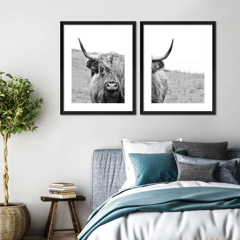 Solitary Highland Cow Wall Art