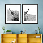Solitary Highland Cow Wall Art