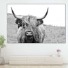 Solitary Highland Cow Wall Art