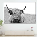 Solitary Highland Cow Wall Art