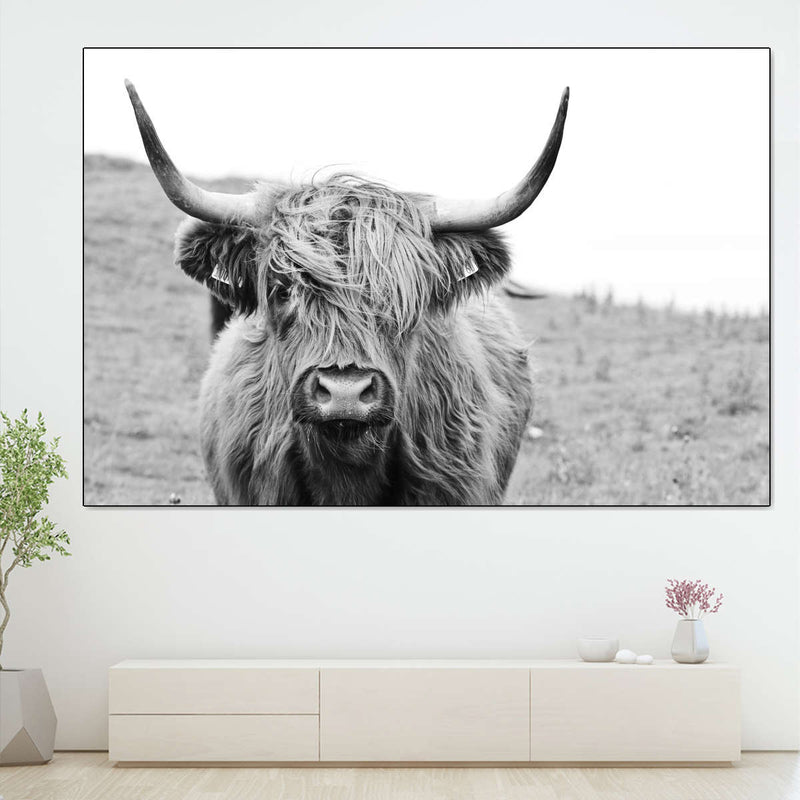 Solitary Highland Cow Wall Art