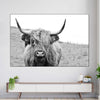 Solitary Highland Cow Wall Art