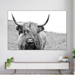 Solitary Highland Cow Wall Art