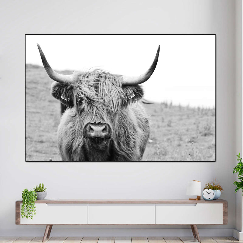 Solitary Highland Cow Wall Art