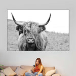 Solitary Highland Cow Wall Art
