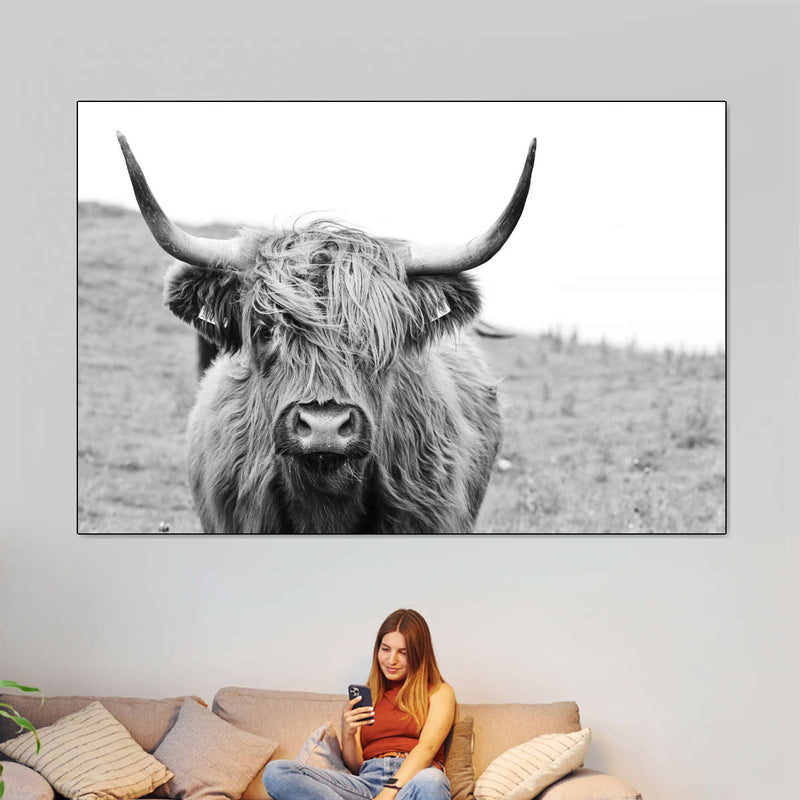 Solitary Highland Cow Wall Art