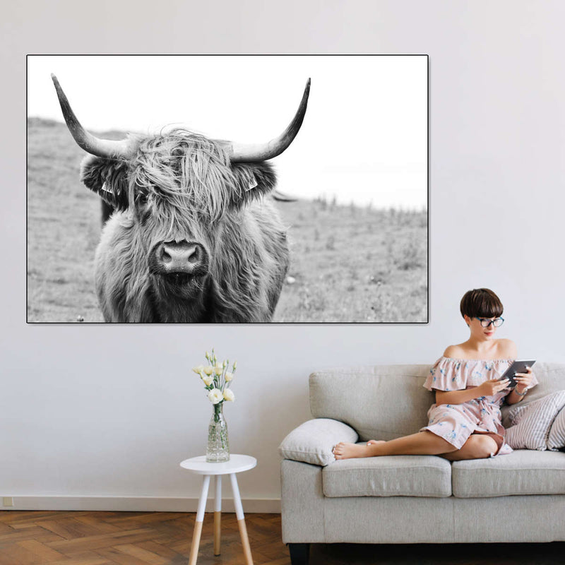 Solitary Highland Cow Wall Art