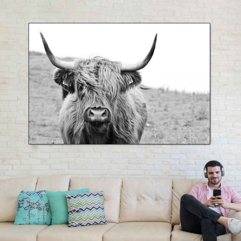 Solitary Highland Cow Wall Art