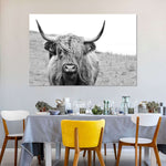 Solitary Highland Cow Wall Art