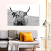 Solitary Highland Cow Wall Art