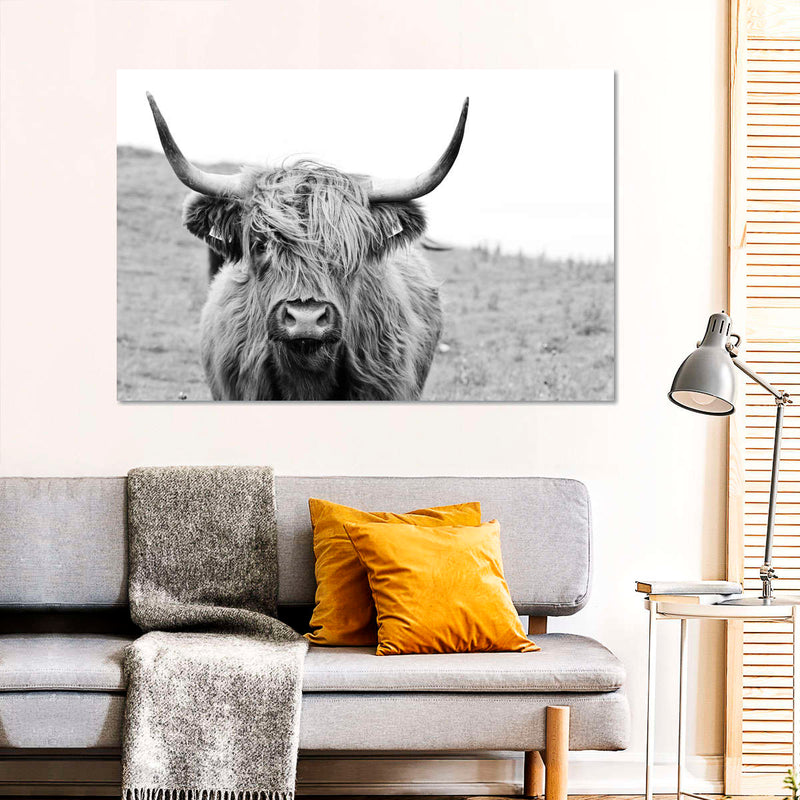 Solitary Highland Cow Wall Art