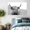 Solitary Highland Cow Wall Art