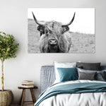 Solitary Highland Cow Wall Art