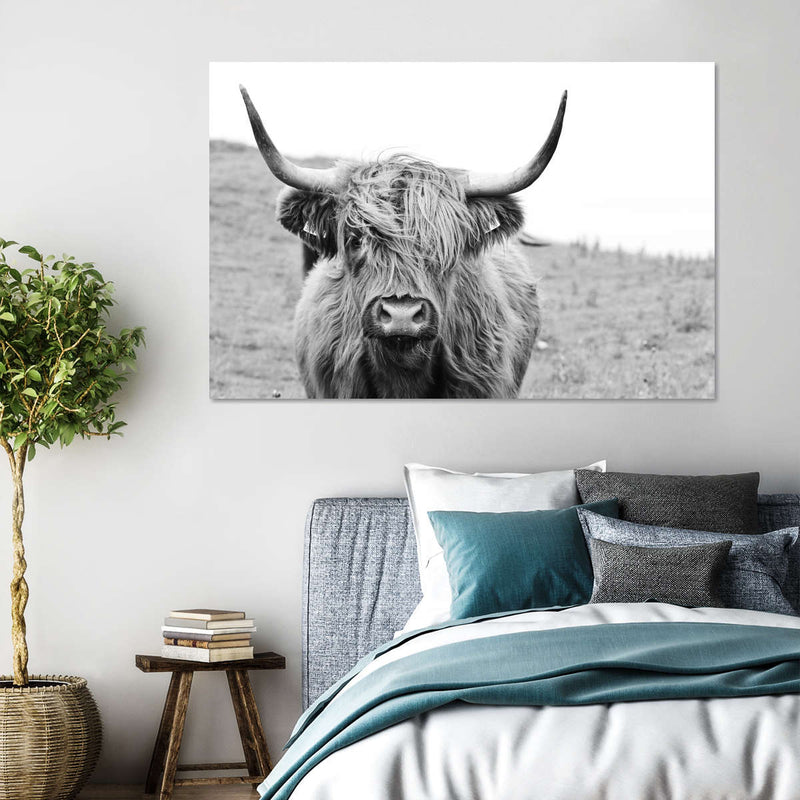 Solitary Highland Cow Wall Art