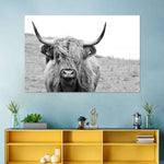 Solitary Highland Cow Wall Art