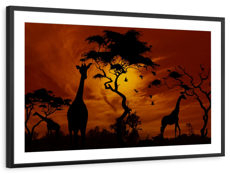 Silhouetted African Giraffes Wall Art