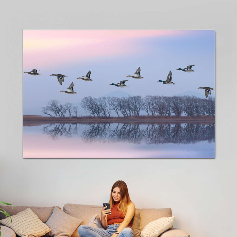 Pink Sky Over Ducks Wall Art