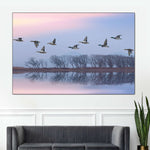 Pink Sky Over Ducks Wall Art