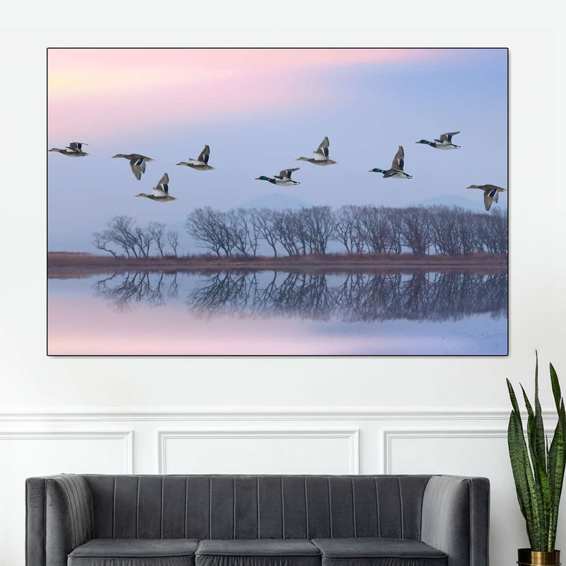Pink Sky Over Ducks Wall Art