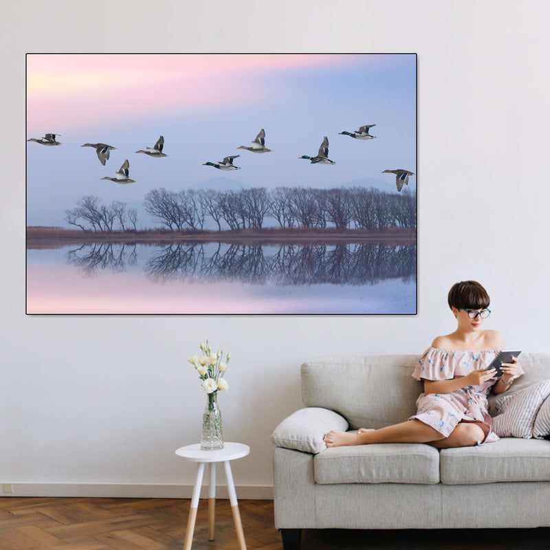 Pink Sky Over Ducks Wall Art