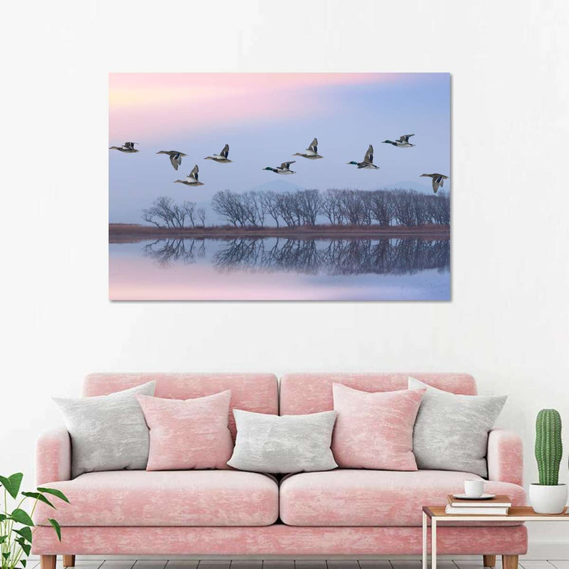 Pink Sky Over Ducks Wall Art
