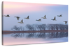 Pink Sky Over Ducks Wall Art