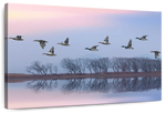 Pink Sky Over Ducks Wall Art