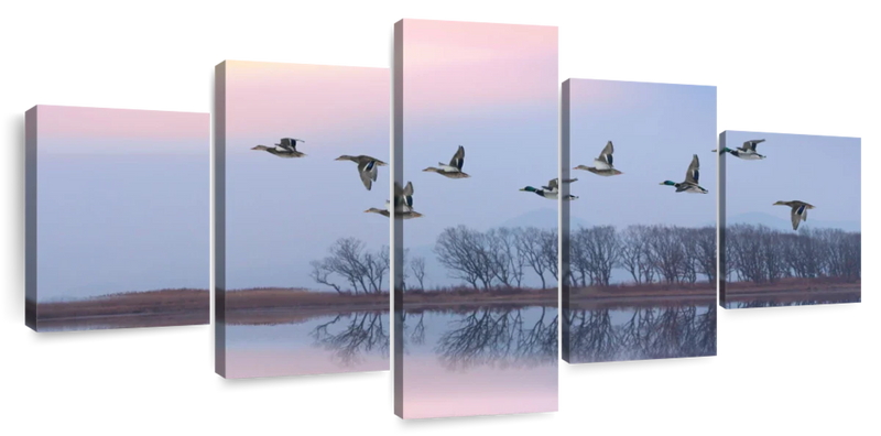 Pink Sky Over Ducks Wall Art