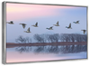 Pink Sky Over Ducks Wall Art