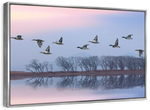 Pink Sky Over Ducks Wall Art