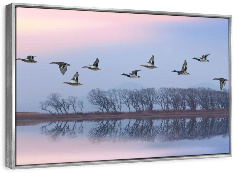Pink Sky Over Ducks Wall Art
