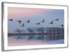 Pink Sky Over Ducks Wall Art