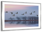 Pink Sky Over Ducks Wall Art