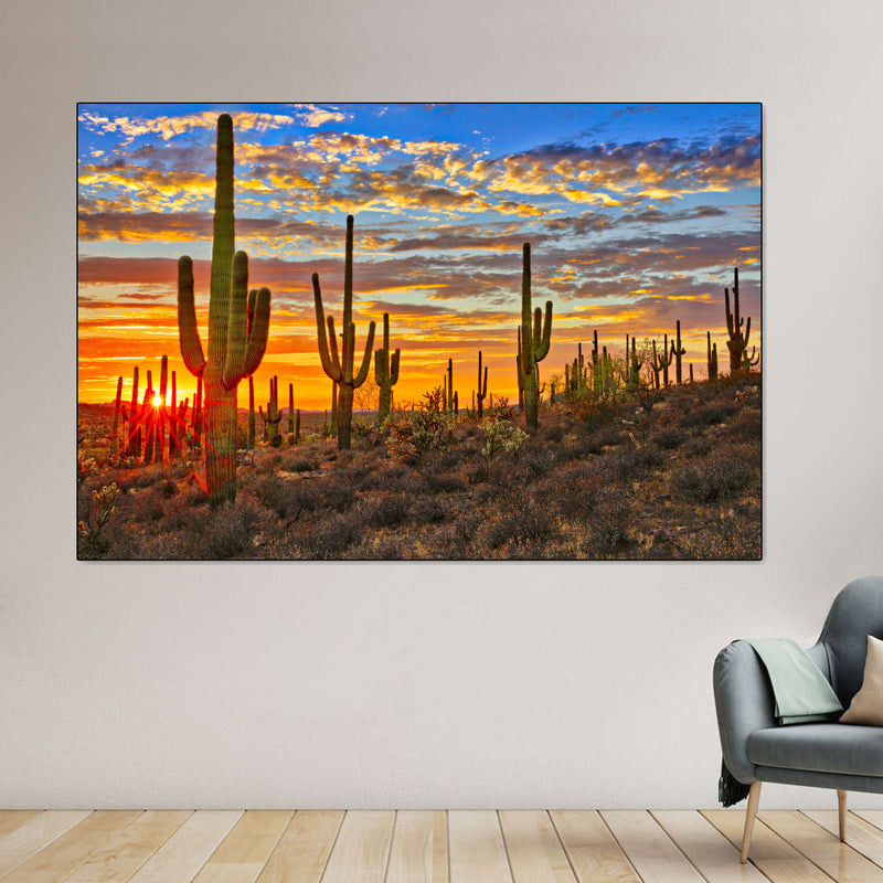 Sunset Cactus Wall Art