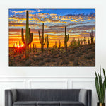 Sunset Cactus Wall Art