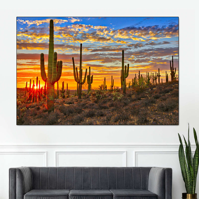 Sunset Cactus Wall Art