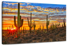 Sunset Cactus Wall Art