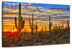 Sunset Cactus Wall Art