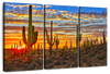 Sunset Cactus Wall Art