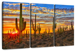 Sunset Cactus Wall Art